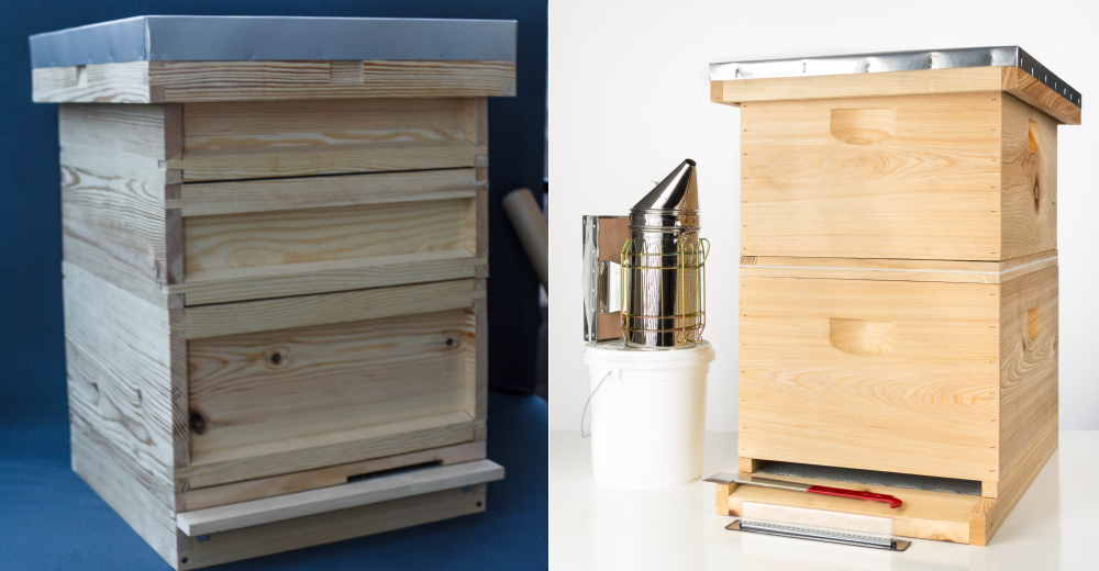 Langstroth National hive