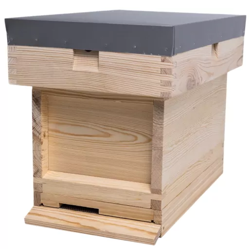 B.S. National Nucleus Box (Nucs Hive)